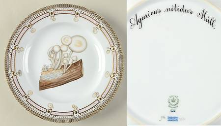 Flora Danica Fungi Collection by Royal Copenhagen