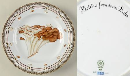 Flora Danica Fungi Collection Dinner Plate-Epilobium latifolium L