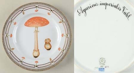 Flora Danica Fungi Collection Dinner Plate