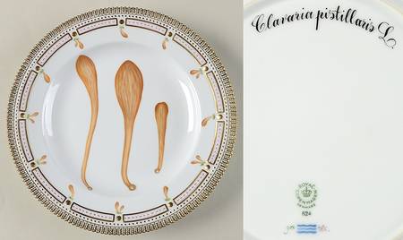 Flora Danica Fungi Collection Dinner Plate-Atropa Belladona L