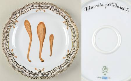 Flora Danica Fungi Collection 11" Round Platter w/Pierced Edge