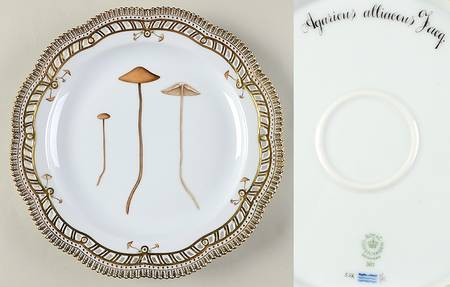 Flora Danica Fungi Collection 11" Round Platter w/Pierced Edge