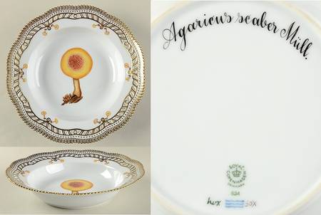 Flora Danica Fungi Collection Pierced Large Rim Soup Bowl