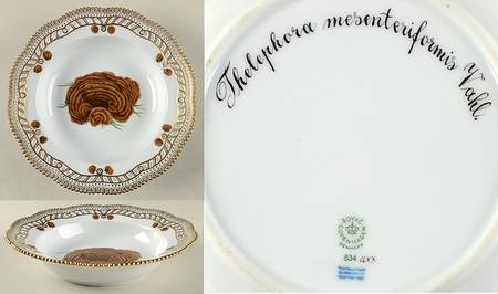 Flora Danica Fungi Collection Pierced Large Rim Soup Bowl