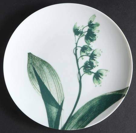 Contre Jour Salad/Dessert Plate