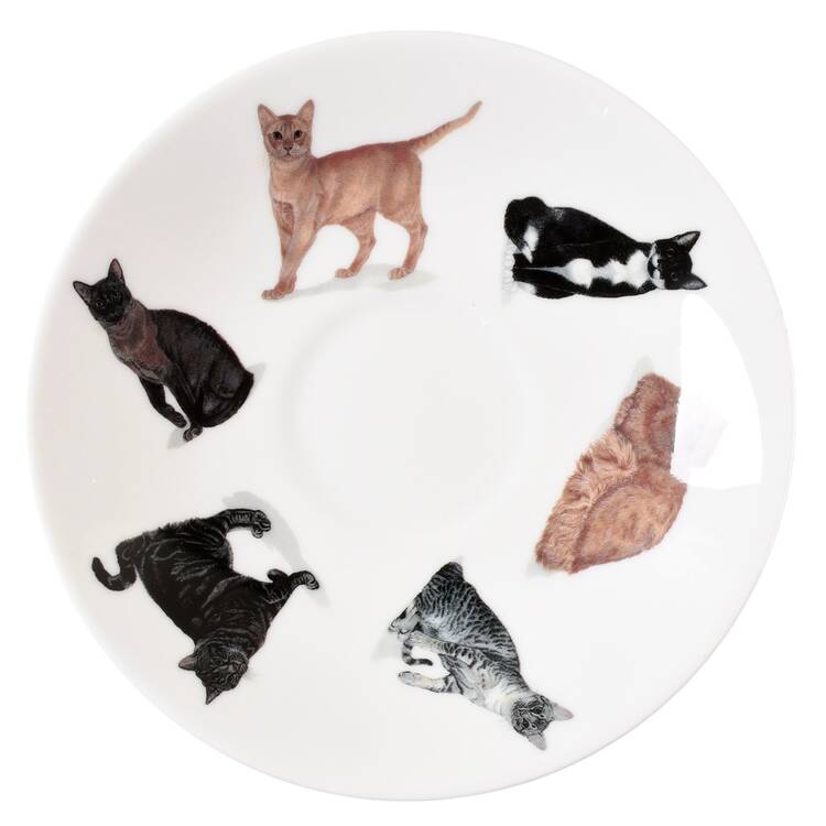Cats Galore Saucer for Breakfast Cup