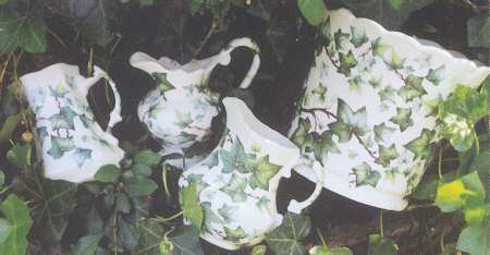 English Ivy by Royal Crownford