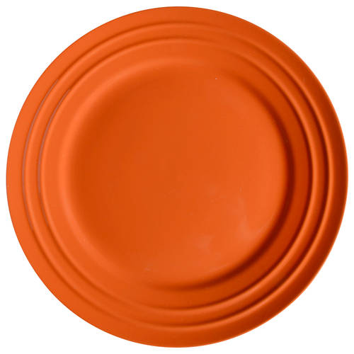 Double Ridge Tangerine Orange by Rachael Ray