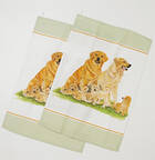 Dog Collection by Roy Kirkham
