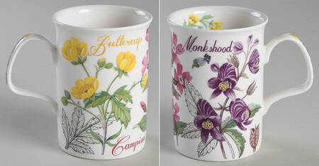 Wild Garden by Roy Kirkham
