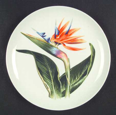 Bird of Paradise by Santa Anita