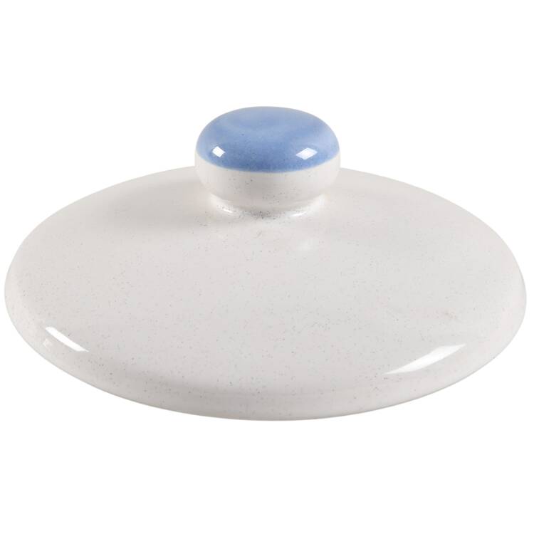 Luscious Lid for Large Canister