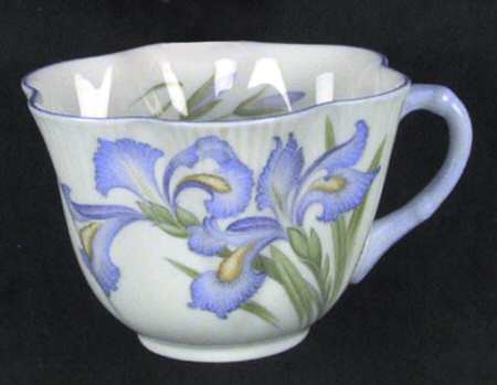 Blue Iris by Shelley