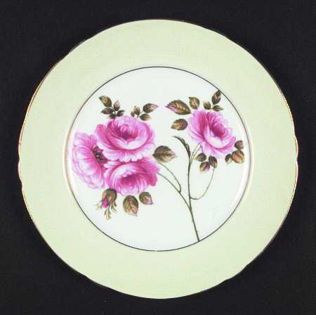 Rambler Rose by Shelley