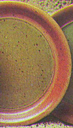 Green Celadon Dinner Plate