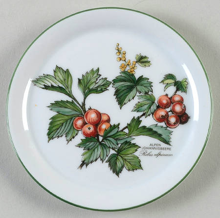 Waldbeere Coaster