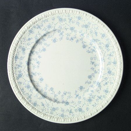 Bramble by Spode