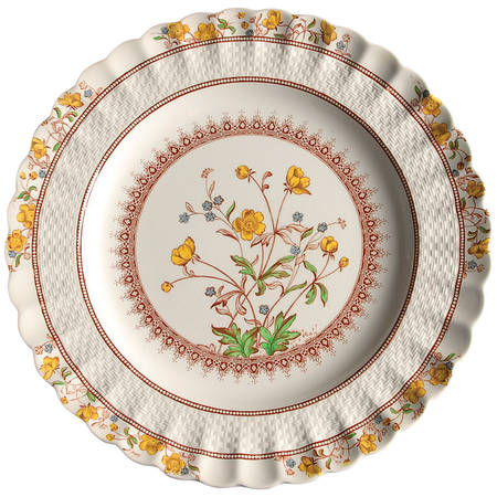 Buttercup (Older Backstamp) by Spode