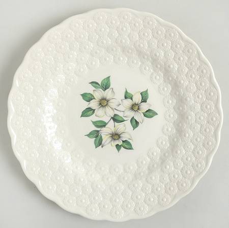 Provincial Flowers by Spode