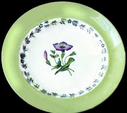 S3156 by Spode