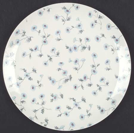 Spode's Daisy by Spode