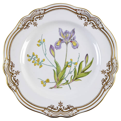 Stafford Flowers by Spode