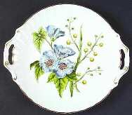 Stafford Flowers Handled Cake Plate by Spode