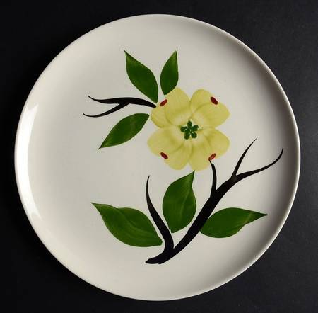 Dixie Dogwood by Stetson