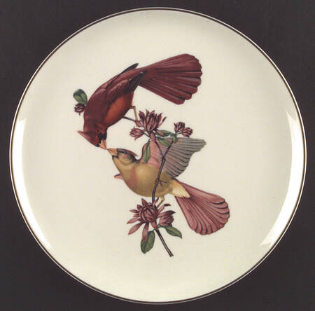 American Song Birds Series by Syracuse