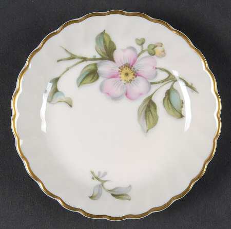 Apple Blossom Coaster