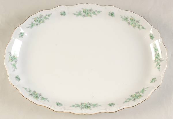 21145 14" Oval Serving Platter by Seltmann