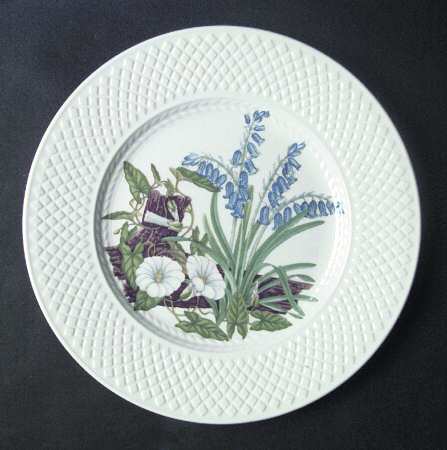SP165 by Spode