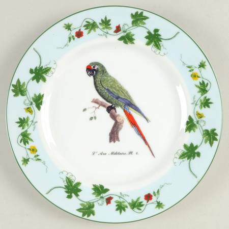 Monticello Parrots by Sadek