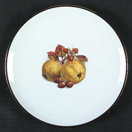 SCP5 Salad Plate