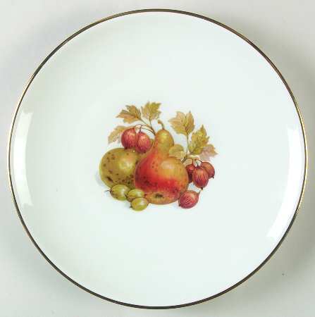 SCP5 Dinner Plate