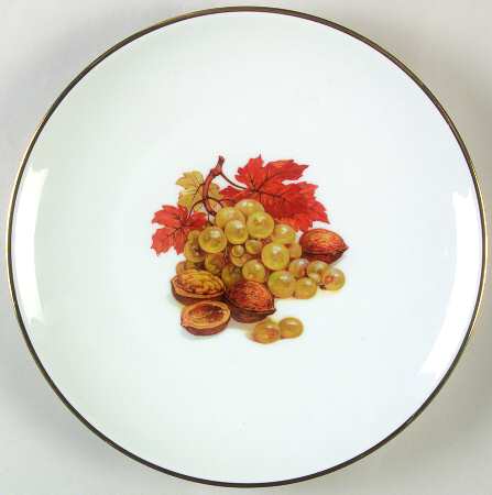 SCP5 Dinner Plate