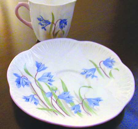 Scilla by Shelley