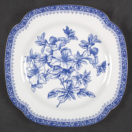 Botanical Collection by Spode