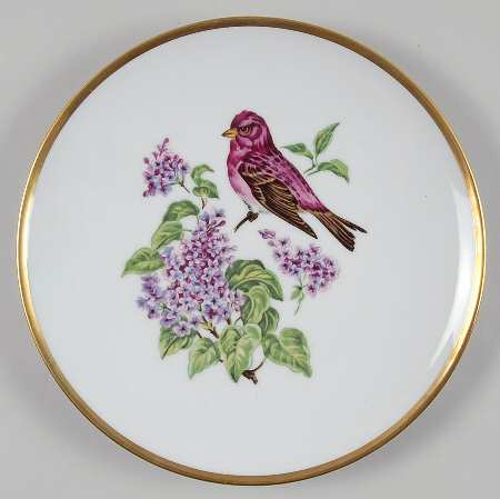SCH324 Salad Plate