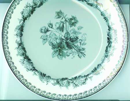 Rosebriar by Spode
