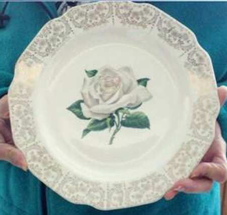 SAB70 Dinner Plate