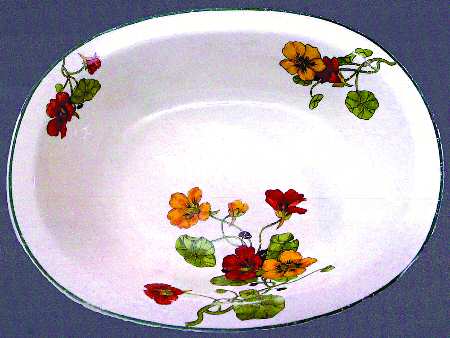 Nasturtium by Smith Phillips