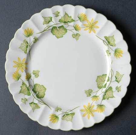 Celandine by Shelley