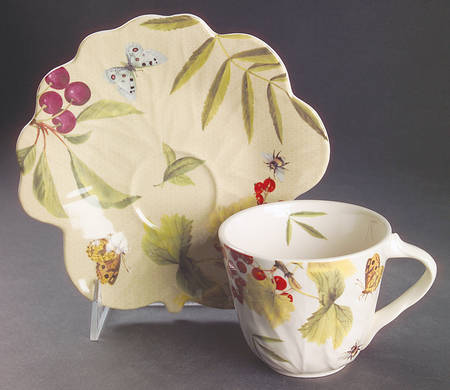 Fruit Haven Flat Cup & Saucer Set by Spode