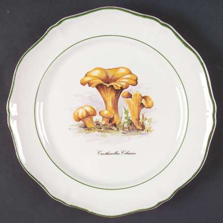 Sdq1 Salad Plate