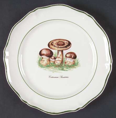 Sdq1 Salad Plate