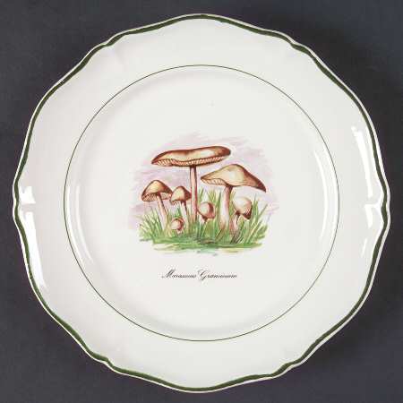 Sdq1 Salad Plate