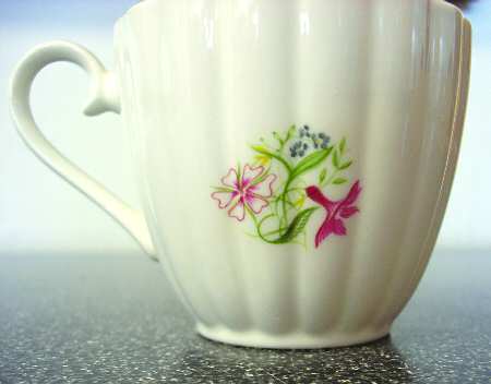 SCO41 Flat Cup