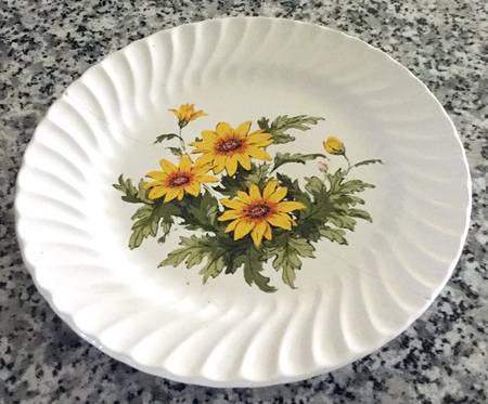 Daisy by SCIO