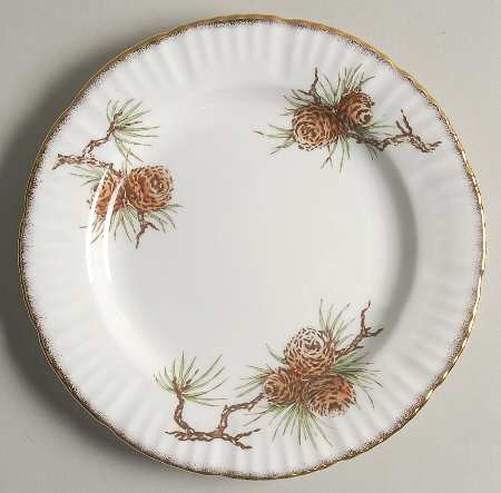 Pine Cones by Salisbury